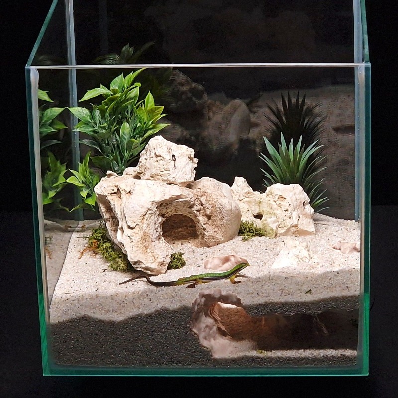 3DPrinted Fish Tank Tunnel She – Aquarium Fish Hiding Places Bewertung und Preis