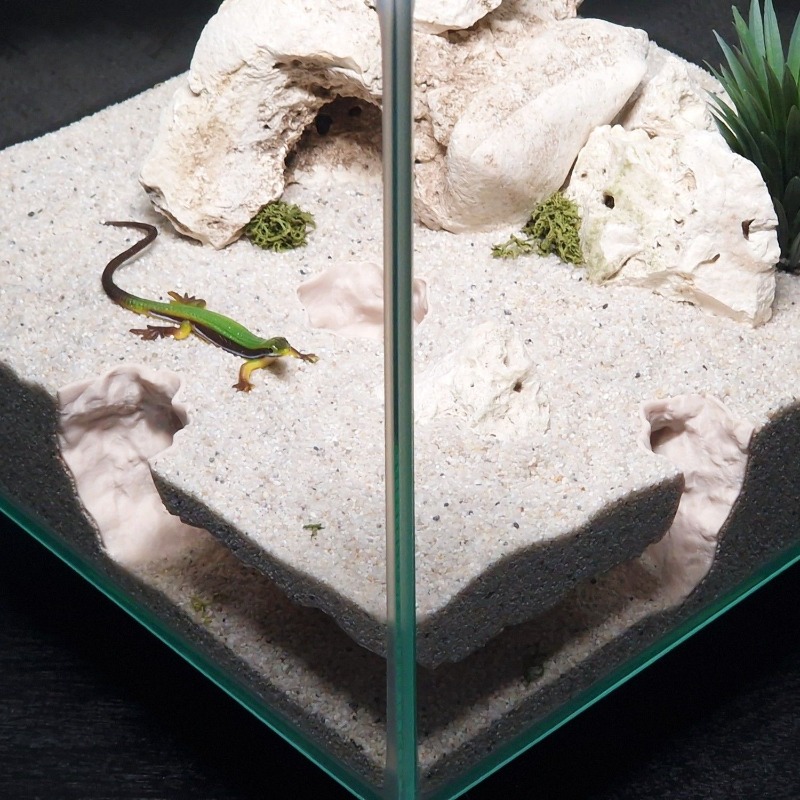 3DPrinted Fish Tank Tunnel She – Aquarium Fish Hiding Places Bewertung und Preis