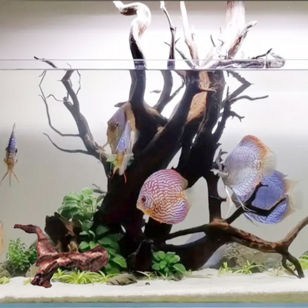 Creative Irregular Shape Coral – Aquarium Fish Hiding Places Bewertung und Preis