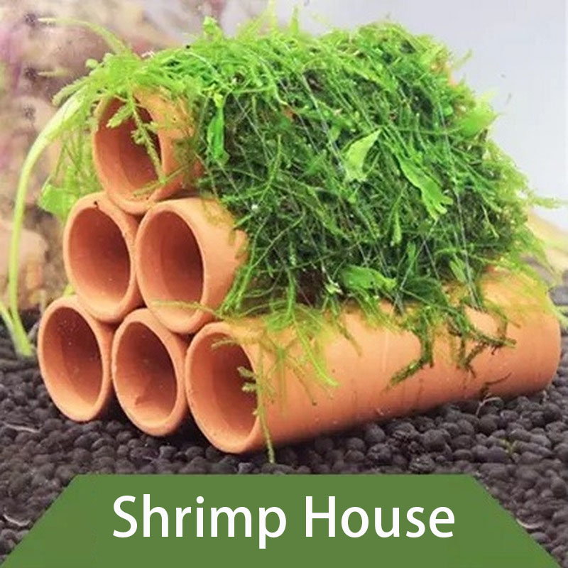 Clay Aquarium Decoration Fish  – Aquarium Fish Hiding Places Bewertung und Preis