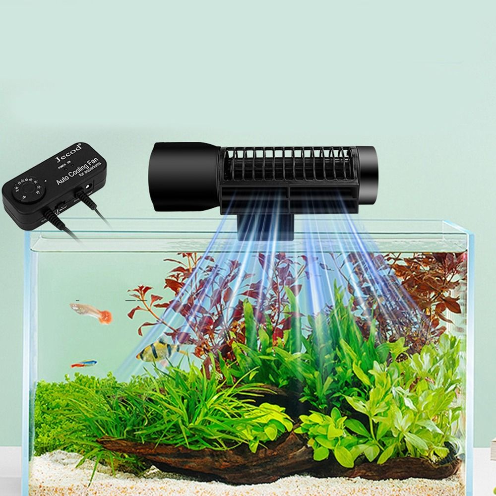 Frequency Conversion Aquarium  – Aquarium Fish Black Bewertung und Preis