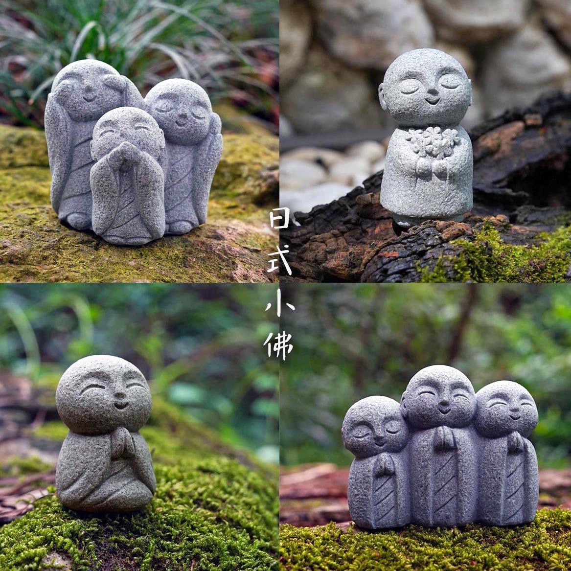 Cute Japanese Monk Kyoto Prefe – Aquarium Fish Japan Bewertung und Preis