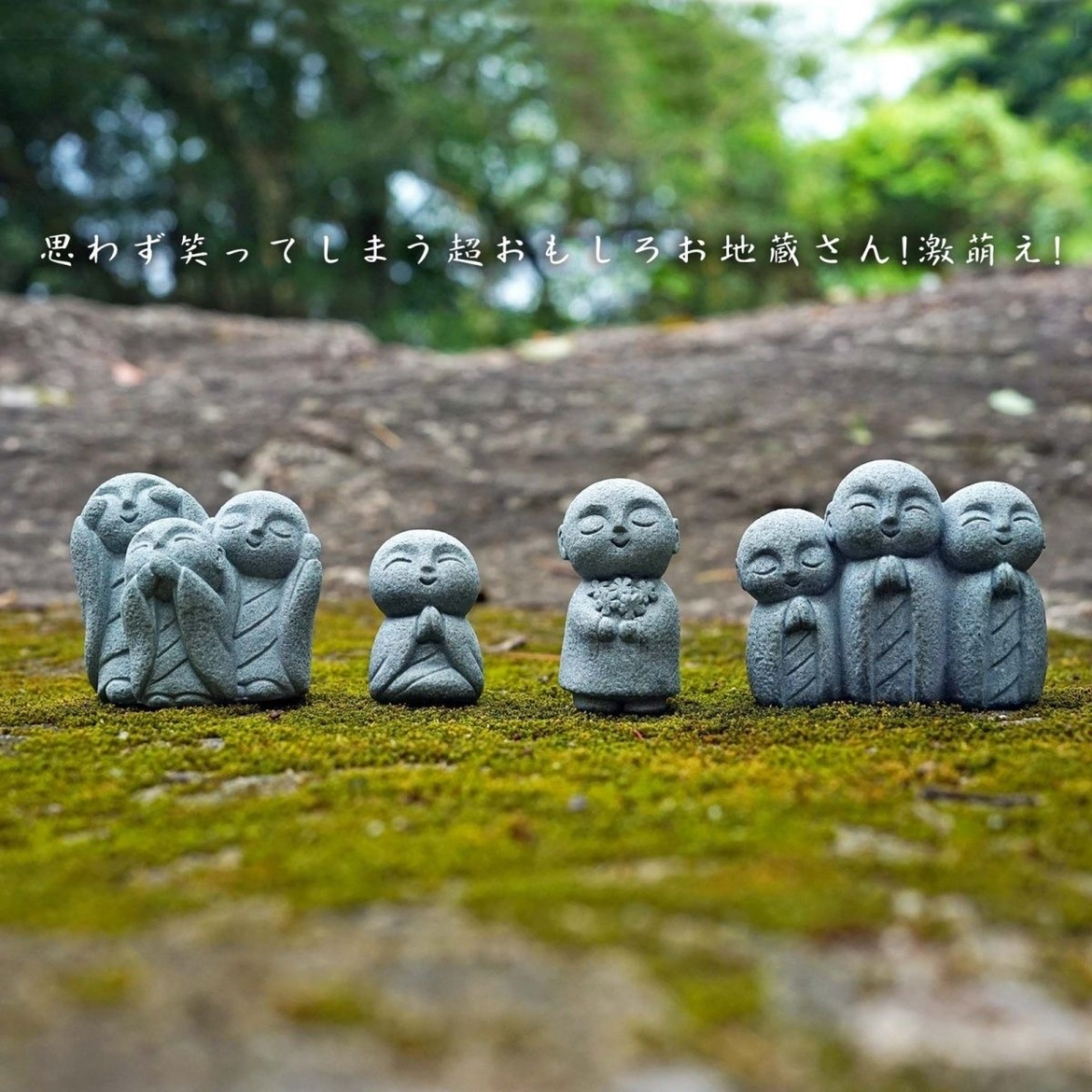 Cute Japanese Monk Kyoto Prefe – Aquarium Fish Japan Bewertung und Preis