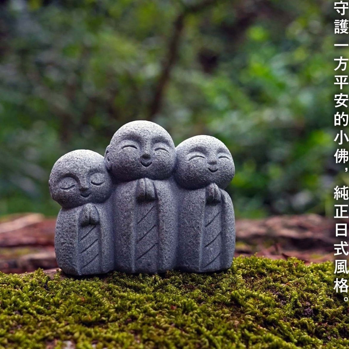 Cute Japanese Monk Kyoto Prefe – Aquarium Fish Japan Bewertung und Preis