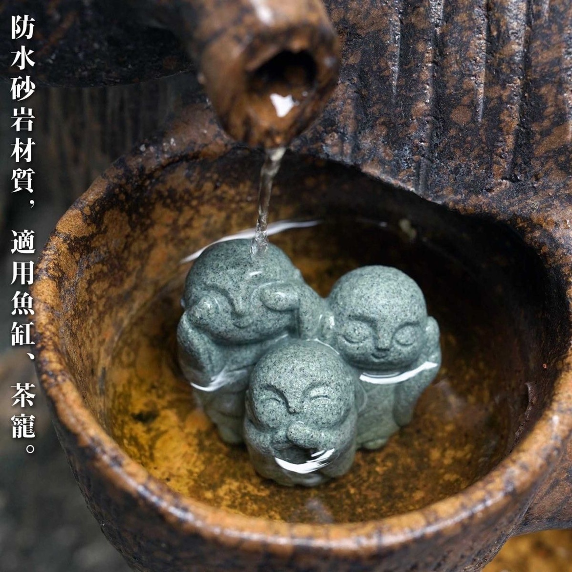 Cute Japanese Monk Kyoto Prefe – Aquarium Fish Japan Bewertung und Preis