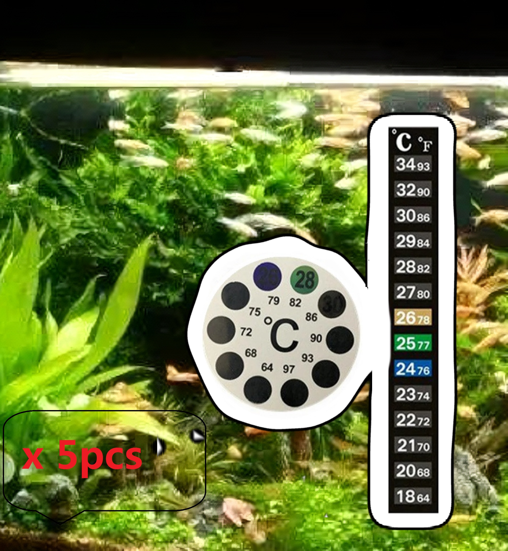 5Pcs Home Aquarium Fish Tank C – Aquarium Fish Black Bewertung und Preis