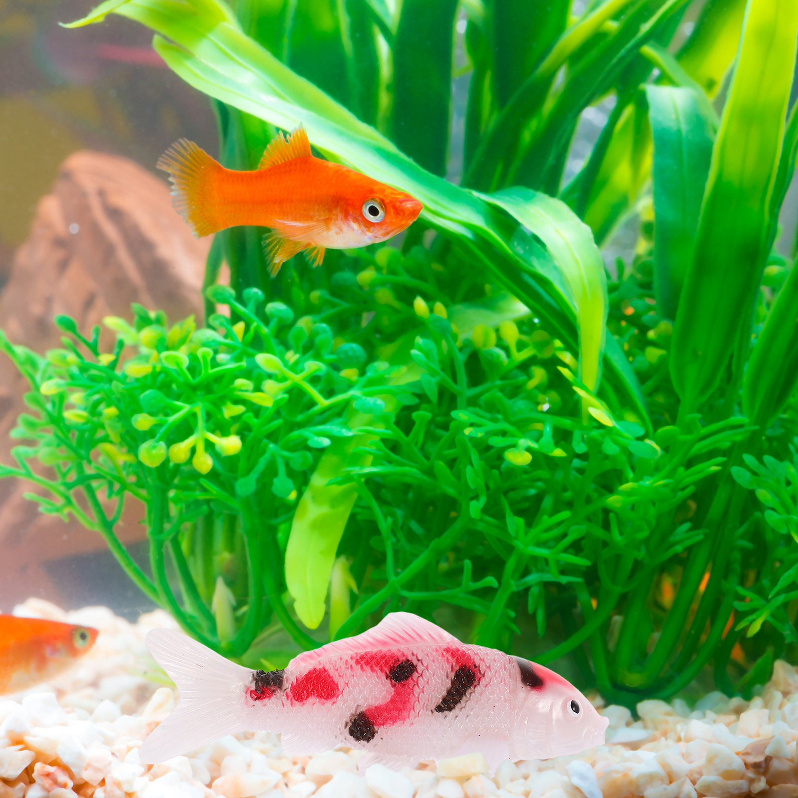 2Pcs Lifesize Artificial Koi F – Aquarium Fish Koi Bewertung und Preis