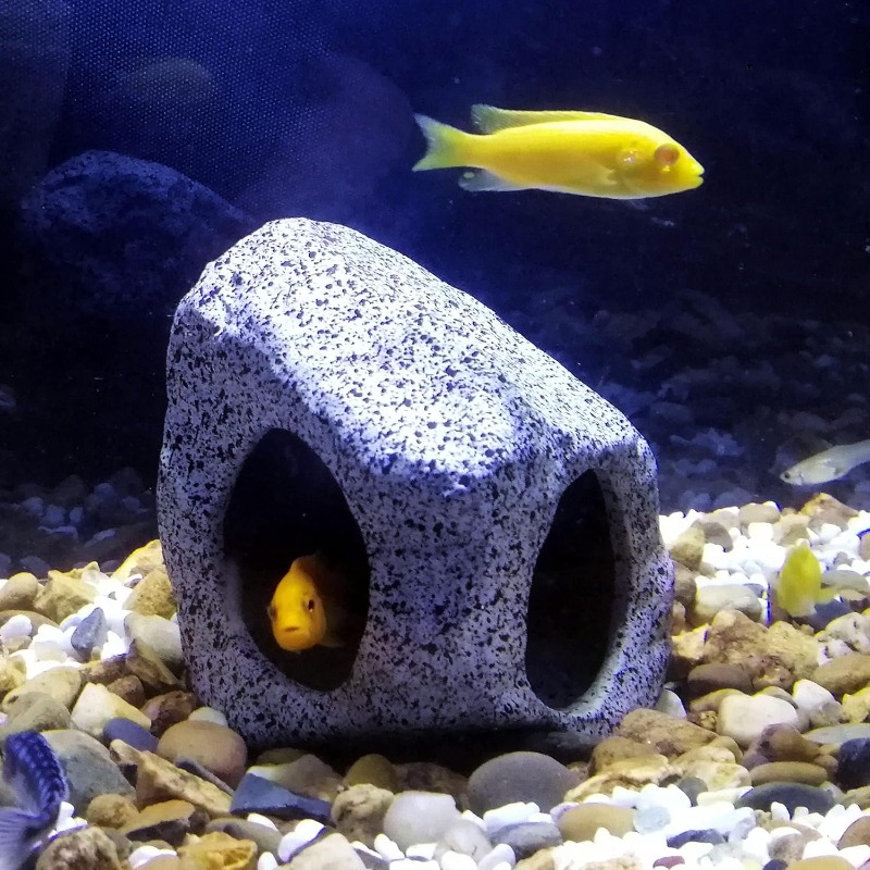 Fish Tank Cave Stone Landscapi – Aquarium Fish Hiding Places Bewertung und Preis