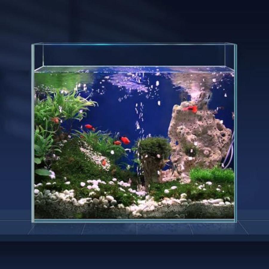 6.5 Gallon Ultra Clear Glass F – Aquarium Fish Goldfish Bewertung und Preis