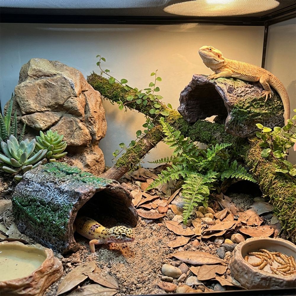 Simulation Reptile Hideout Hol – Aquarium Fish Hiding Places Bewertung und Preis