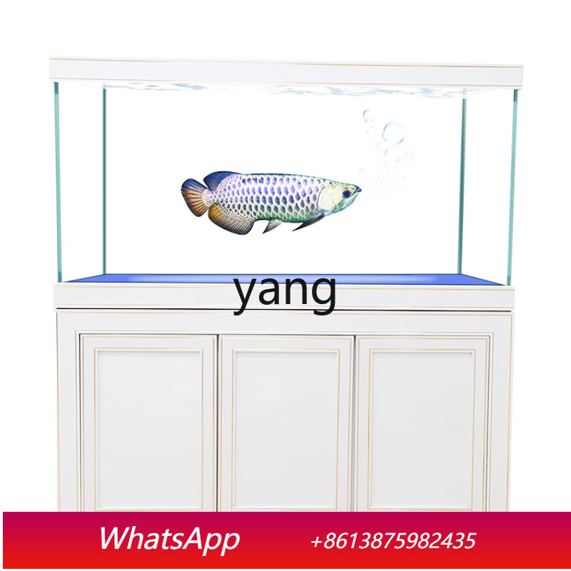 LH Super White Glass Medium an – Aquarium Fish Dragon Bewertung und Preis