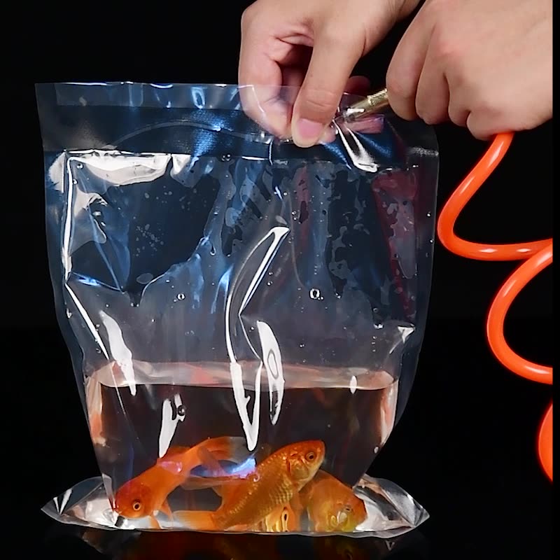 TETP 100Pcs transparent Orname – Aquarium Fish Delivery Bewertung und Preis