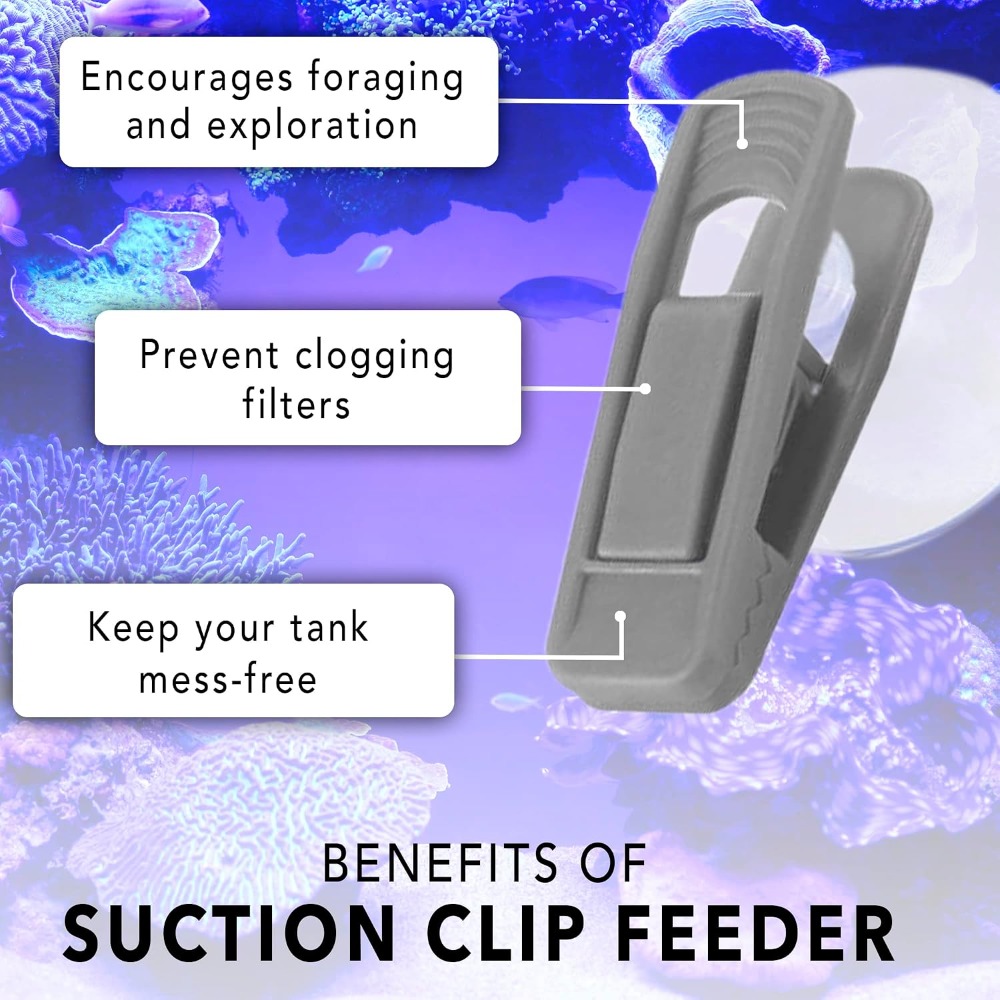 Fish Veggie and Kelp Suction C – Aquarium Fish Vitamin Bewertung und Preis